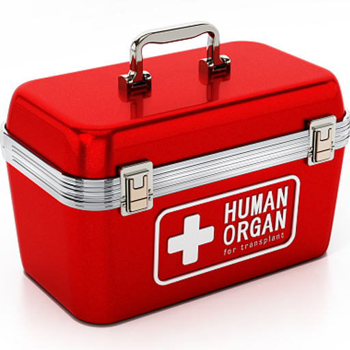 A red medical box with a red cross on it, containing organs for transplant.